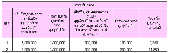 ประกันภัยอุบัติเหตุส่วนบุคคล Executive P.A.