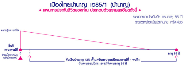 เมืองไทยบำนาญ เอ 85/1 (บำนาญ)